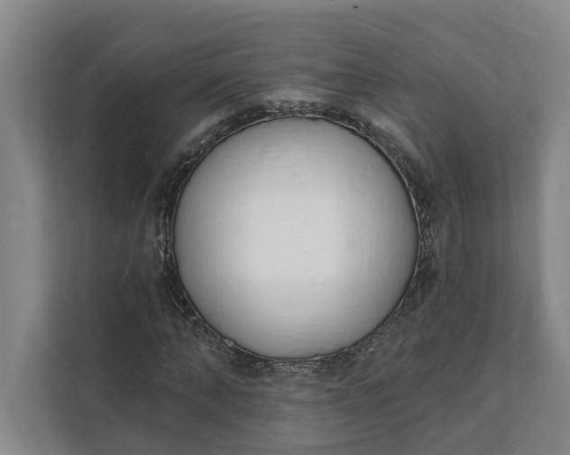 X0000112140870200908211351