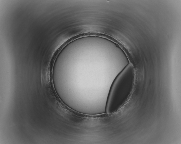 X0000112140877200908211351