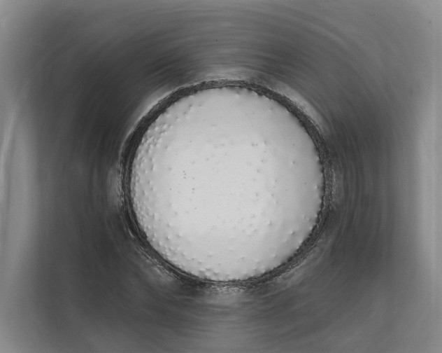 X0000112140878200908211351