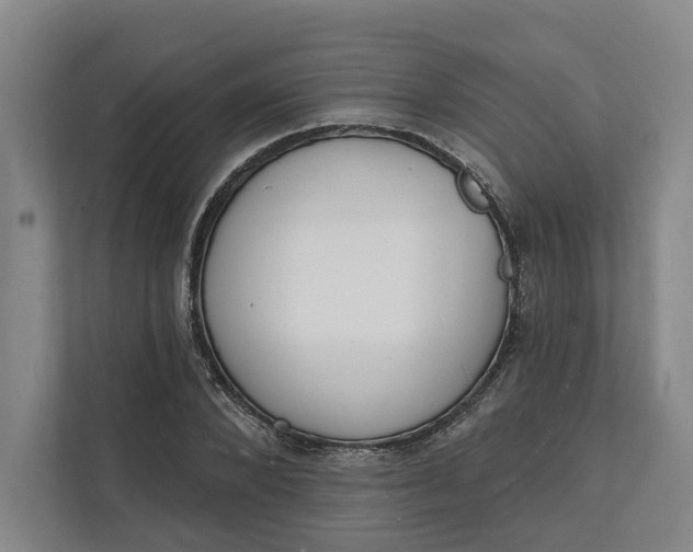 X0000112140880200908211351