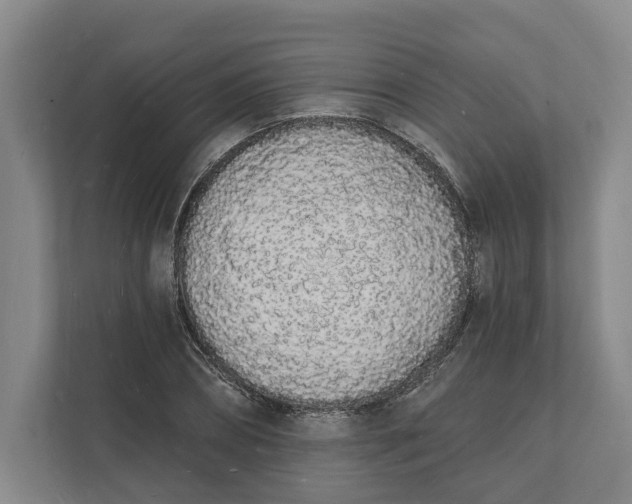 X0000112140882200908211351