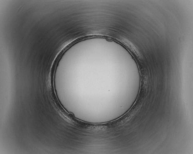 X0000112140884200908211350