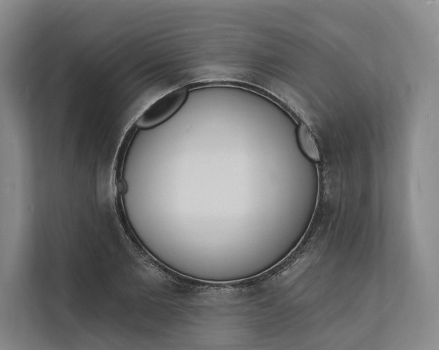 X0000112140885200908211350