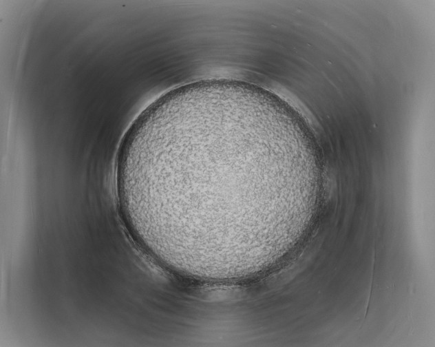 X0000112140886200908211350