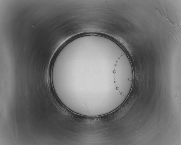 X0000112140887200908211350