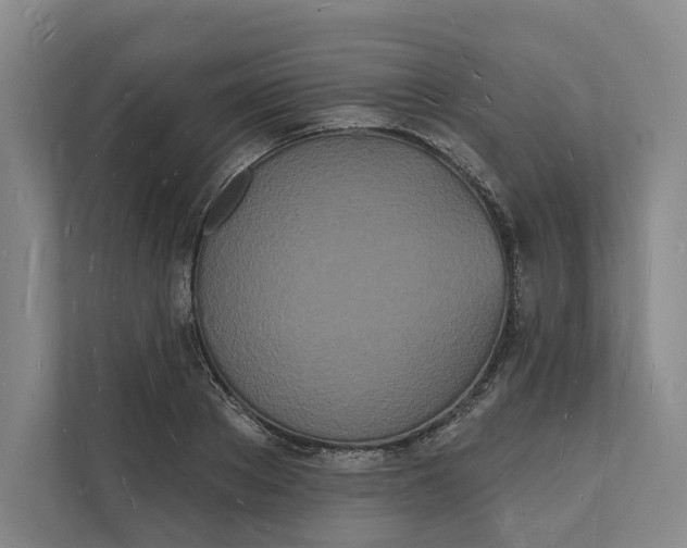 X0000112140889200908211350