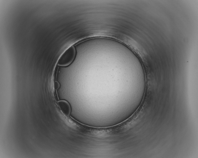 X0000112140892200908211350