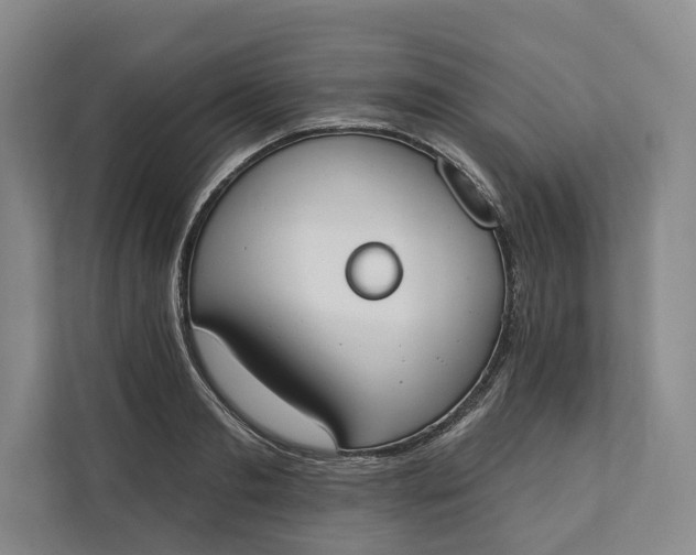 X0000112140893200908211350