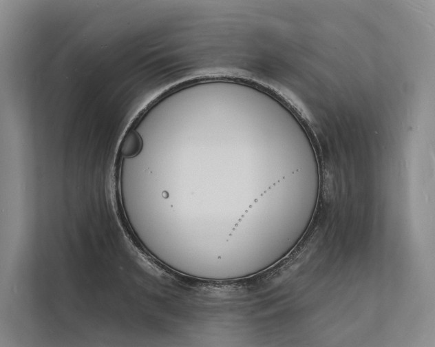 X0000112140895200908211350