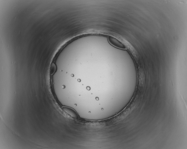 X0000112140896200908211350