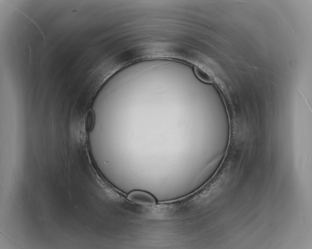 X0000112140897200908211350