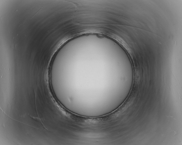 X0000112140898200908211350