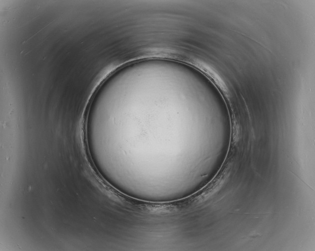 X0000112140899200908211350