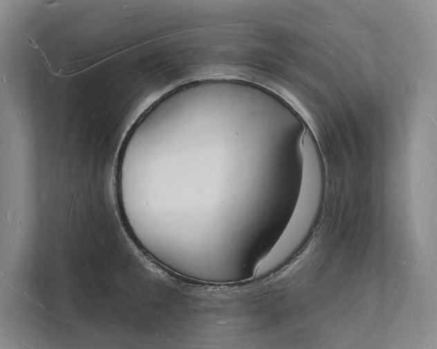 X0000112140901200908211350