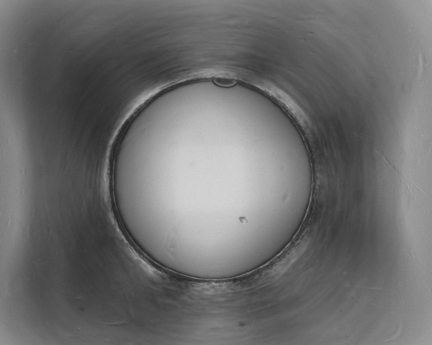 X0000112140902200908211350