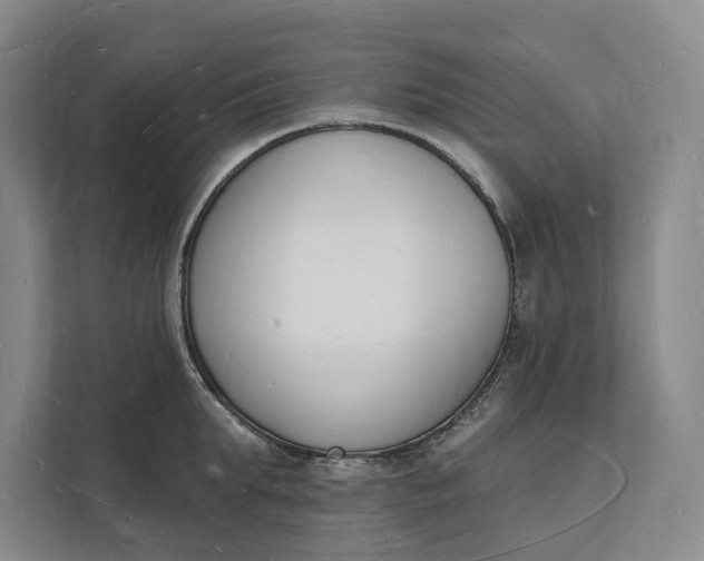 X0000112140903200908211350