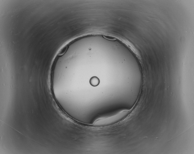 X0000112140904200908211350