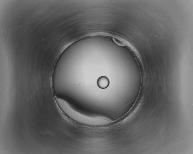 X0000112140905200908211350