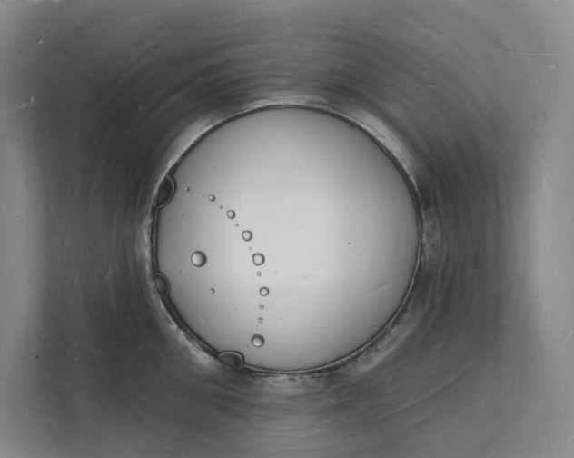 X0000112140906200908211350