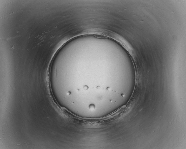 X0000112140907200908211350