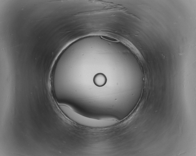 X0000112140908200908211350