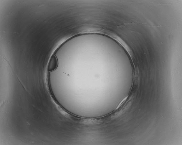 X0000112140909200908211350