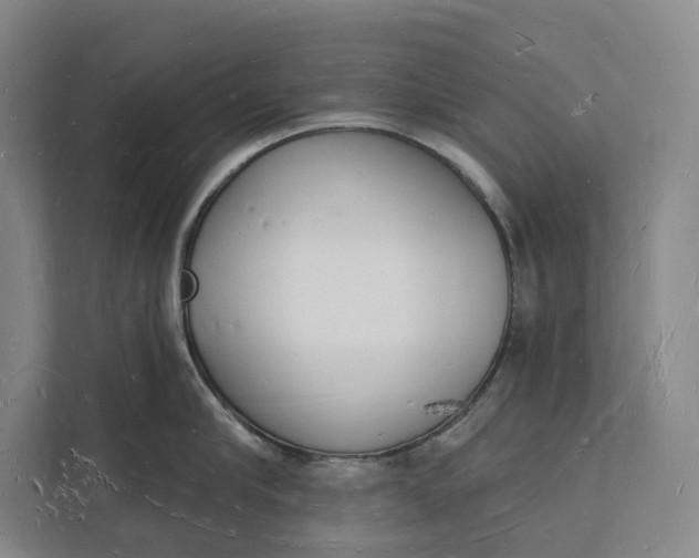 X0000112140910200908211350