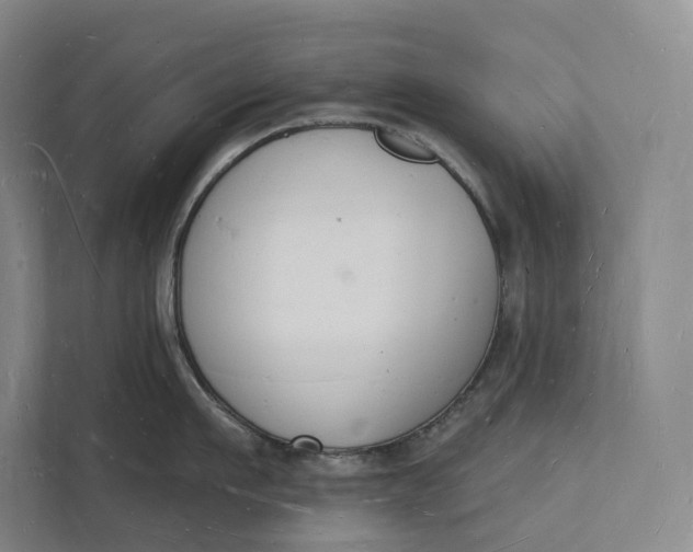 X0000112140911200908211350