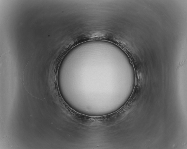 X0000112140913200908211350