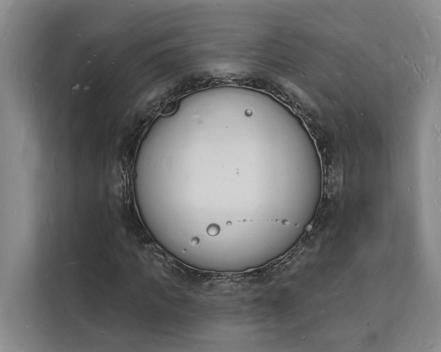 X0000112140917200908211350