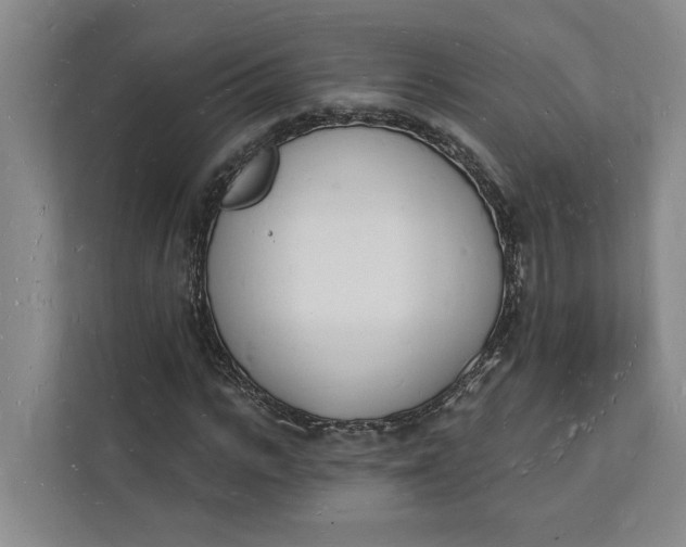 X0000112140919200908211350