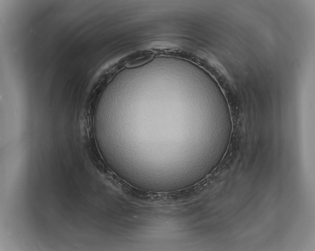 X0000112140920200908211350