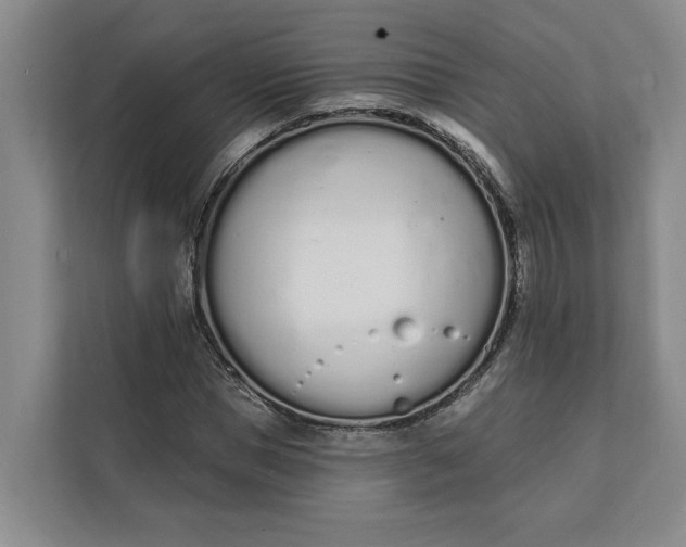 X0000112140921200908211350