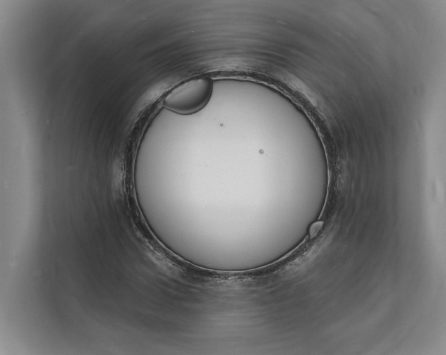 X0000112140922200908211350