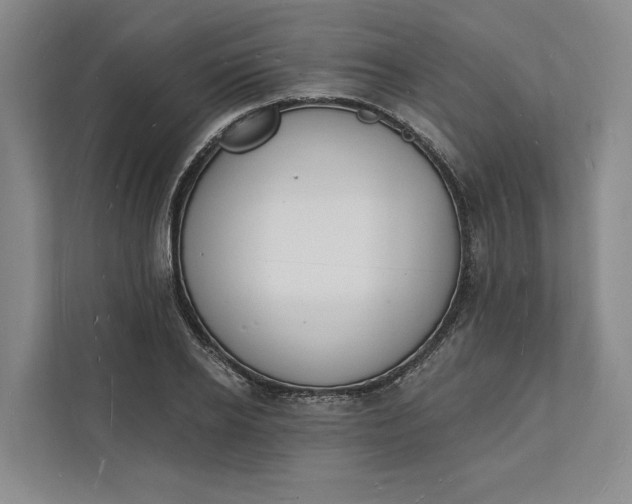 X0000112140934200908211350