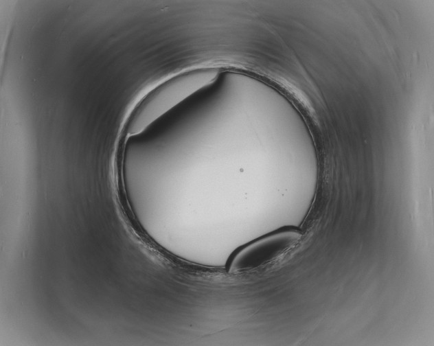 X0000112140936200908211350