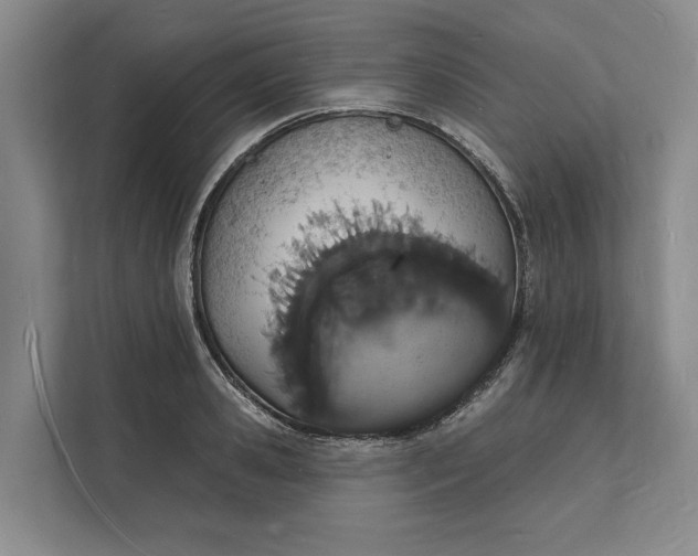 X0000112140941200908211350