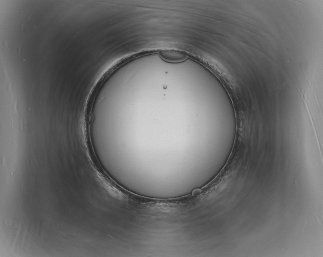 X0000112140942200908211350