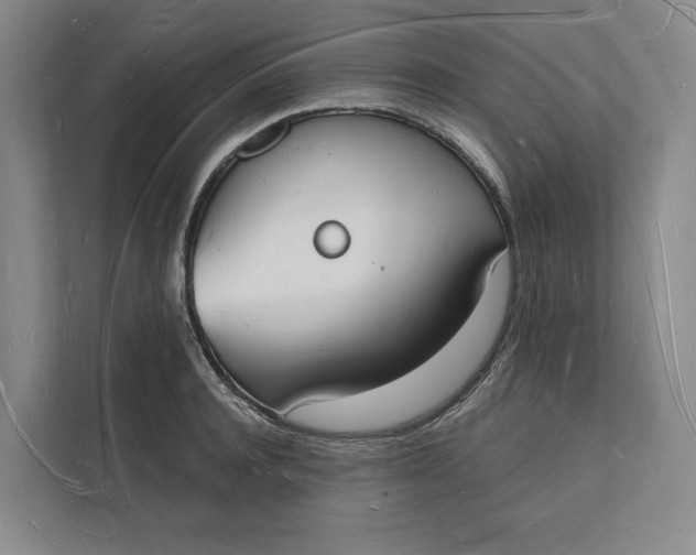 X0000112140944200908211350