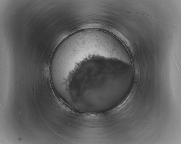 X0000112140945200908211350