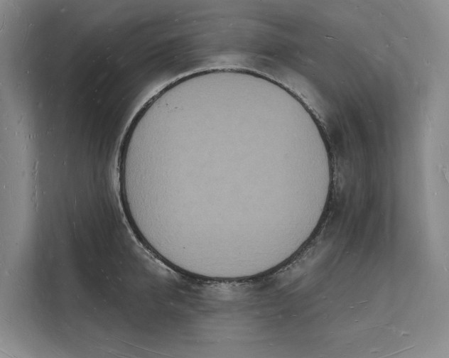 X0000112140950200908211350