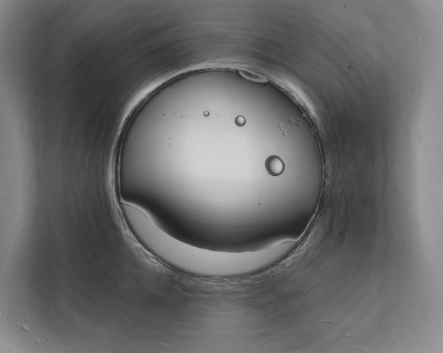 X0000112140952200908211350