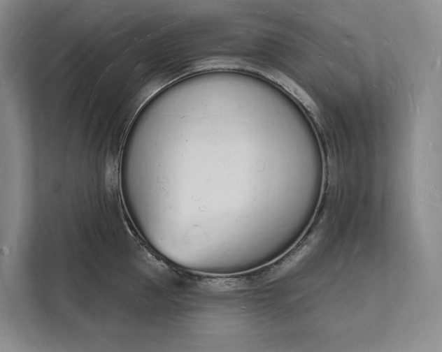 X0000112140953200908211350