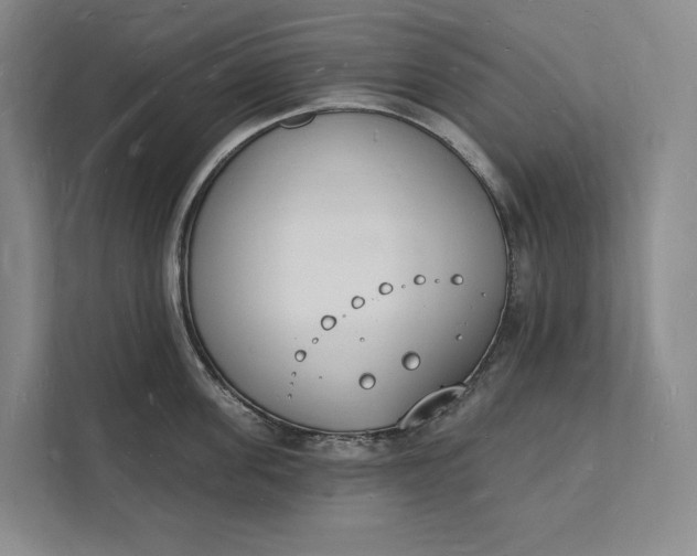 X0000112140955200908211350