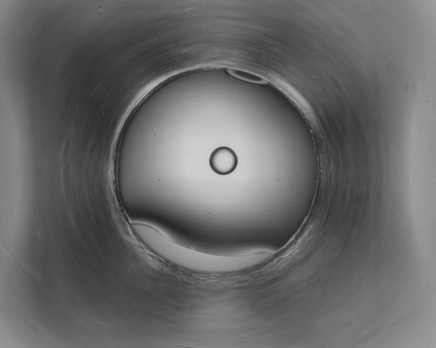 X0000112140956200908211350