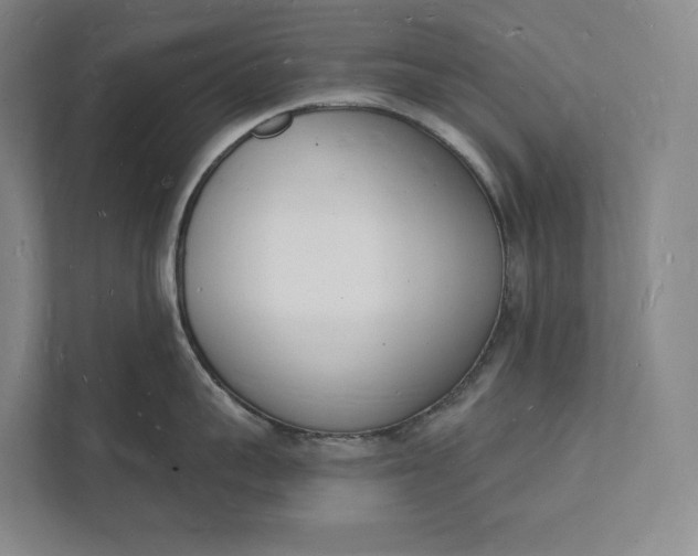 X0000112140959200908211350