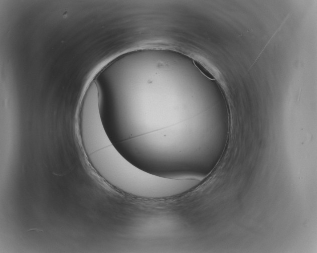 X0000112140960200908211350