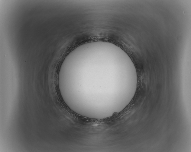 X0000112140961200908211349