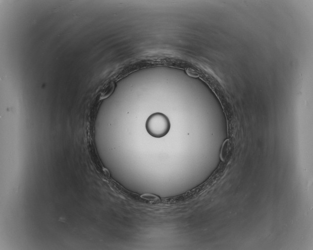 X0000112140965200908211349