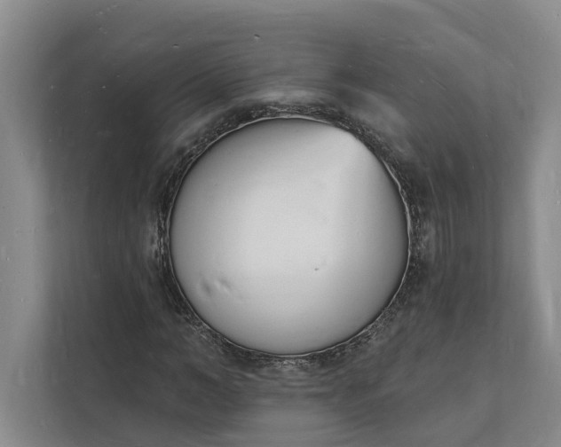 X0000112140966200908211349